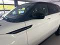 Land Rover Range Rover Evoque 5 Porte 2.0 TD4 HSE Dynamic Blanc - thumbnail 25