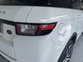 Land Rover Range Rover Evoque 5 Porte 2.0 TD4 HSE Dynamic Blanc - thumbnail 27