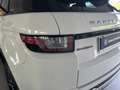 Land Rover Range Rover Evoque 5 Porte 2.0 TD4 HSE Dynamic Blanc - thumbnail 24