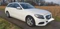 Mercedes-Benz 220 Mercedes-Benz C 220 d T-Modell Weiß - thumbnail 3