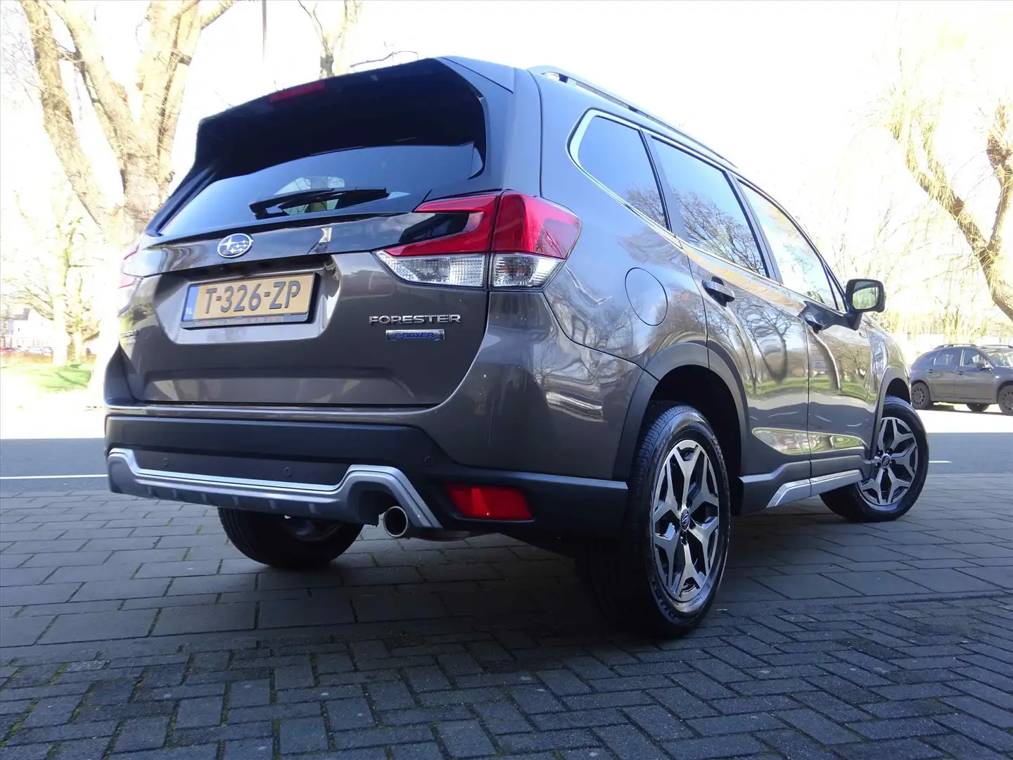 Subaru Forester 2.0i e-BOXER 150pk CVT Luxury | Navi | Trekhaak | Bruin - 2
