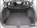 Volkswagen Golf Variant R-LINE BLACK STYLE 2.0 TDI SCR DSG (+ Grau - thumbnail 13