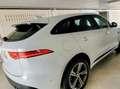 Jaguar F-Pace F-Pace 3.0 V6 R-Sport awd 340cv my18 Bianco - thumbnail 10