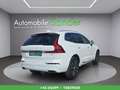 Volvo XC60 T4 Inscription Geartronic *PANO/HEAD-UP/1.BESITZ* Weiß - thumbnail 6