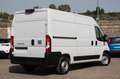 Fiat Ducato 33 2.2 Mjt 140CV L2H2 -  MH2 Furgone NUOVO Bianco - thumbnail 4