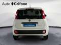 Fiat Panda Panda 1.0 FireFly S&S Hybrid Blanc - thumbnail 4