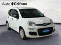 Fiat Panda Panda 1.0 FireFly S&S Hybrid Blanc - thumbnail 7