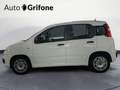 Fiat Panda Panda 1.0 FireFly S&S Hybrid Blanc - thumbnail 2