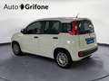 Fiat Panda Panda 1.0 FireFly S&S Hybrid Blanc - thumbnail 3