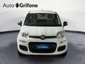 Fiat Panda Panda 1.0 FireFly S&S Hybrid Blanc - thumbnail 8