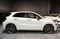 Fiat 500X 1.0 T3 120cv Sport Bianco - thumbnail 4