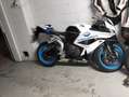 Honda CBR 600 rr limited edition Bianco - thumbnail 3