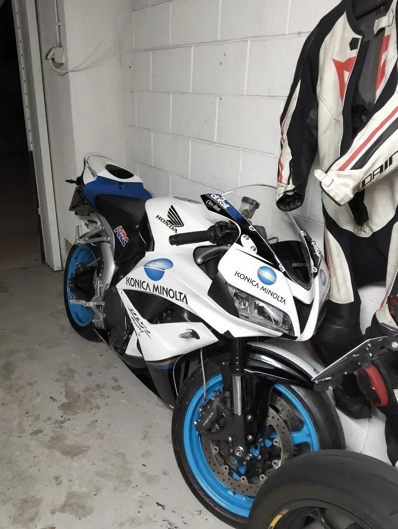 Honda CBR 600 rr limited edition Bianco - 1