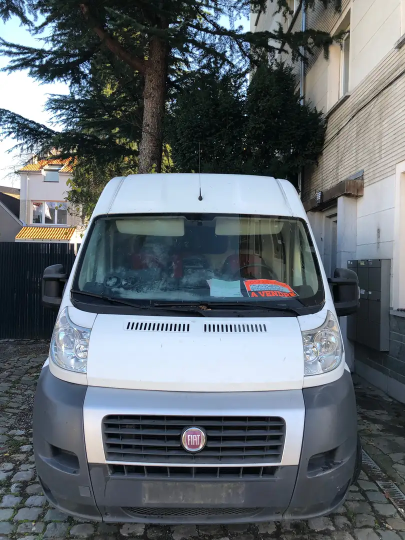 Fiat Ducato 2.8 JTD Blanc - 2