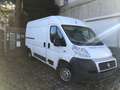 Fiat Ducato 2.8 JTD Blanc - thumbnail 1