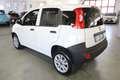 Fiat Panda VAN 0.9 TwinAir Nat. Power 2 posti + IVA 22% Bianco - thumbnail 4
