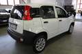 Fiat Panda VAN 0.9 TwinAir Nat. Power 2 posti + IVA 22% Bianco - thumbnail 5