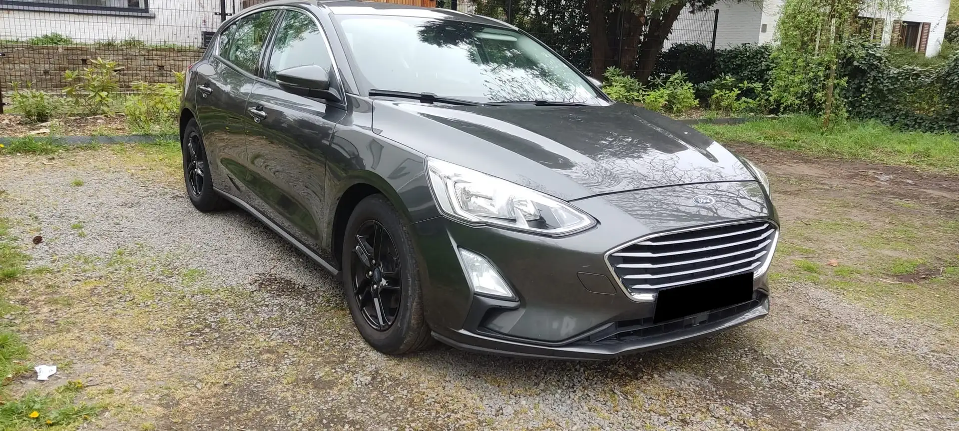 Ford Focus Focus 1.0 EcoBoost Start-Stopp-System TREND Gris - 2