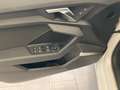 Audi A3 A3 IV Sportback 30 2.0 tdi Business Bianco - thumbnail 8