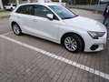 Audi A3 A3 IV 2020 Sportback Sportback 30 2.0 tdi Business Bianco - thumbnail 3