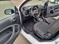 smart forTwo fortwo cabrio Sitzheizung, Klimaautomatik, Blanco - thumbnail 9