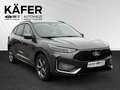 Ford Kuga 2,5 Duratec FHEV ST-Line X Allrad Automatik 134... Grau - thumbnail 3