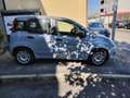 Fiat Panda 1.0 FireFly S&S Hybrid NEOPATENTATI - PREZZO REALE Grau - thumbnail 5