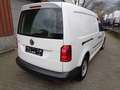 Volkswagen Caddy 2.0 TDI, DSG, Klimatr., Standheizung Weiß - thumbnail 4