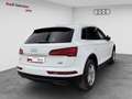 Audi Q5 2.0TDI Advanced quattro-ultra S tronic 140kW Blanco - thumbnail 4