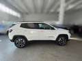 Jeep Compass 1.3 Turbo T4 190 CV PHEV AT6 4xe Business Plus Bianco - thumbnail 3