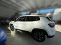 Jeep Compass 1.3 Turbo T4 190 CV PHEV AT6 4xe Business Plus Bianco - thumbnail 4