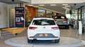 SEAT Leon 1.4 TSI FR *Pano*Navi*LED*17Zoll* Weiß - thumbnail 6