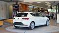 SEAT Leon 1.4 TSI FR *Pano*Navi*LED*17Zoll* Weiß - thumbnail 9