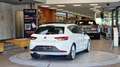 SEAT Leon 1.4 TSI FR *Pano*Navi*LED*17Zoll* Weiß - thumbnail 10