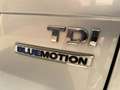 Volkswagen Golf Variant 17" ALU + BlueMotion + Service Voll + Pickerl NEU Grau - thumbnail 37