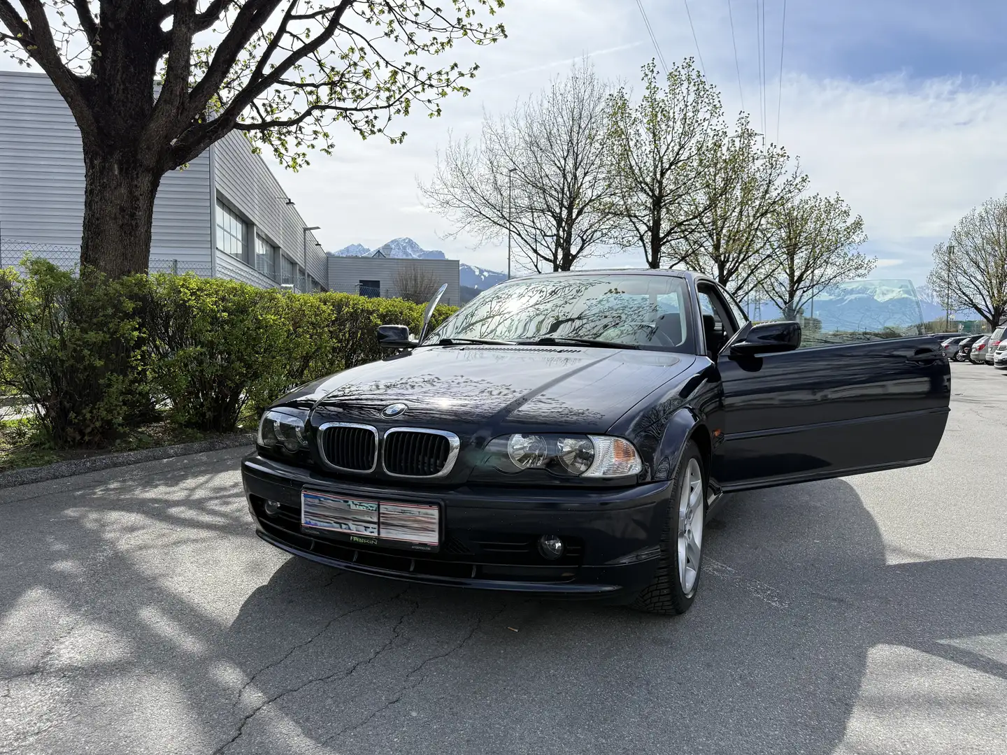 BMW 318 318Ci - 2