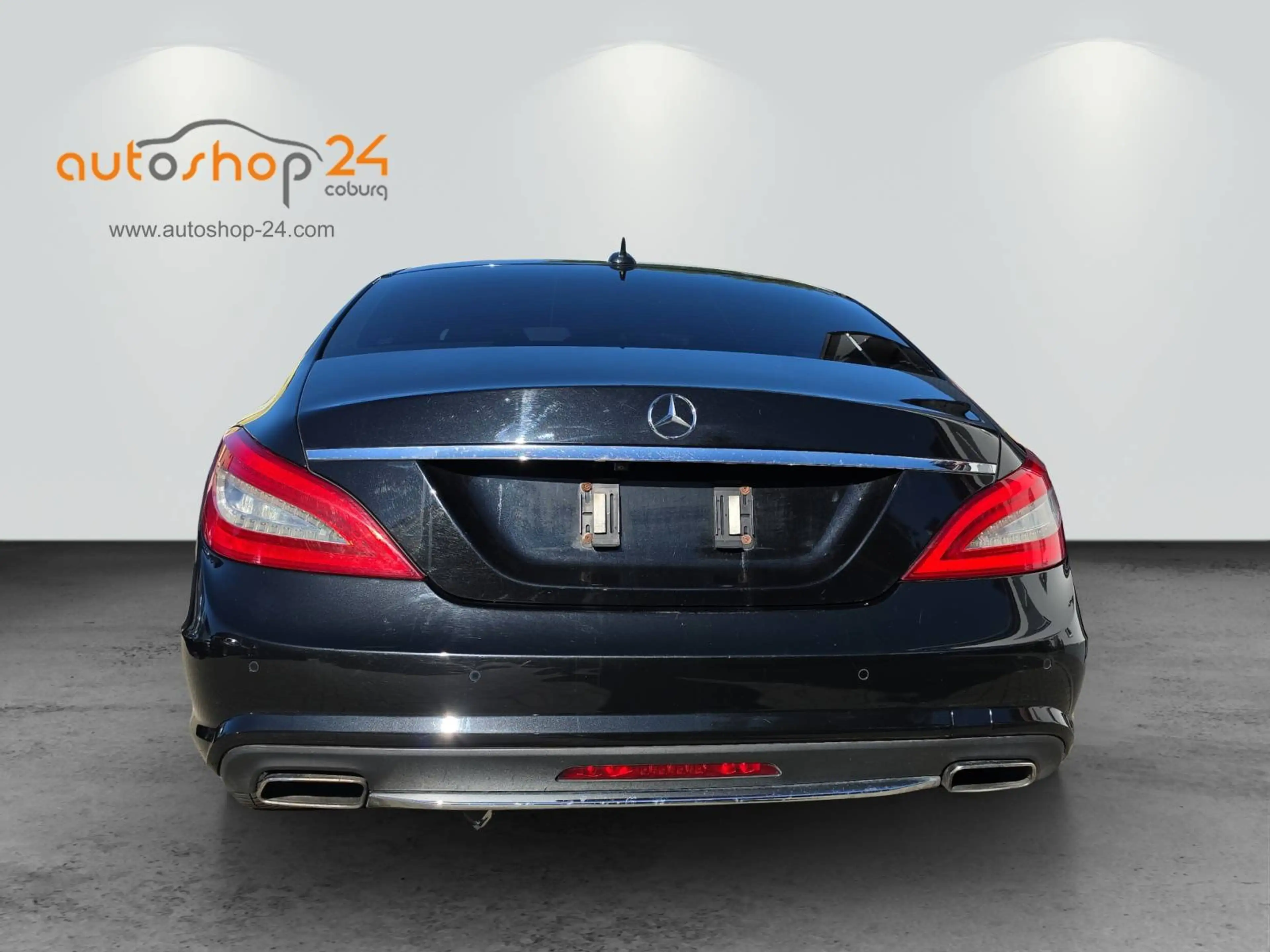 Mercedes-Benz CLS 350 CLS 350 CDI BlueEfficiency 4Matic (218.393) — photo 4