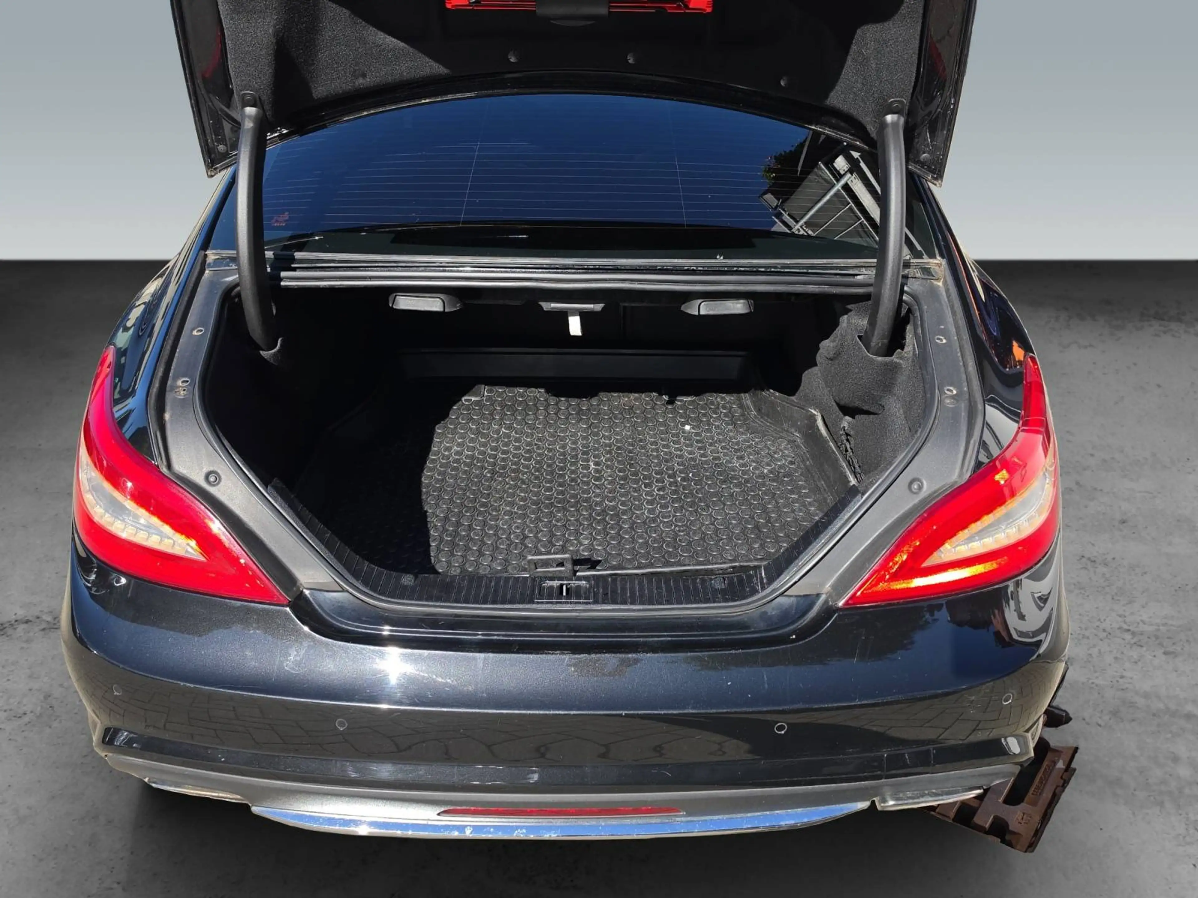 Mercedes-Benz CLS 350 CLS 350 CDI BlueEfficiency 4Matic (218.393) — photo 12