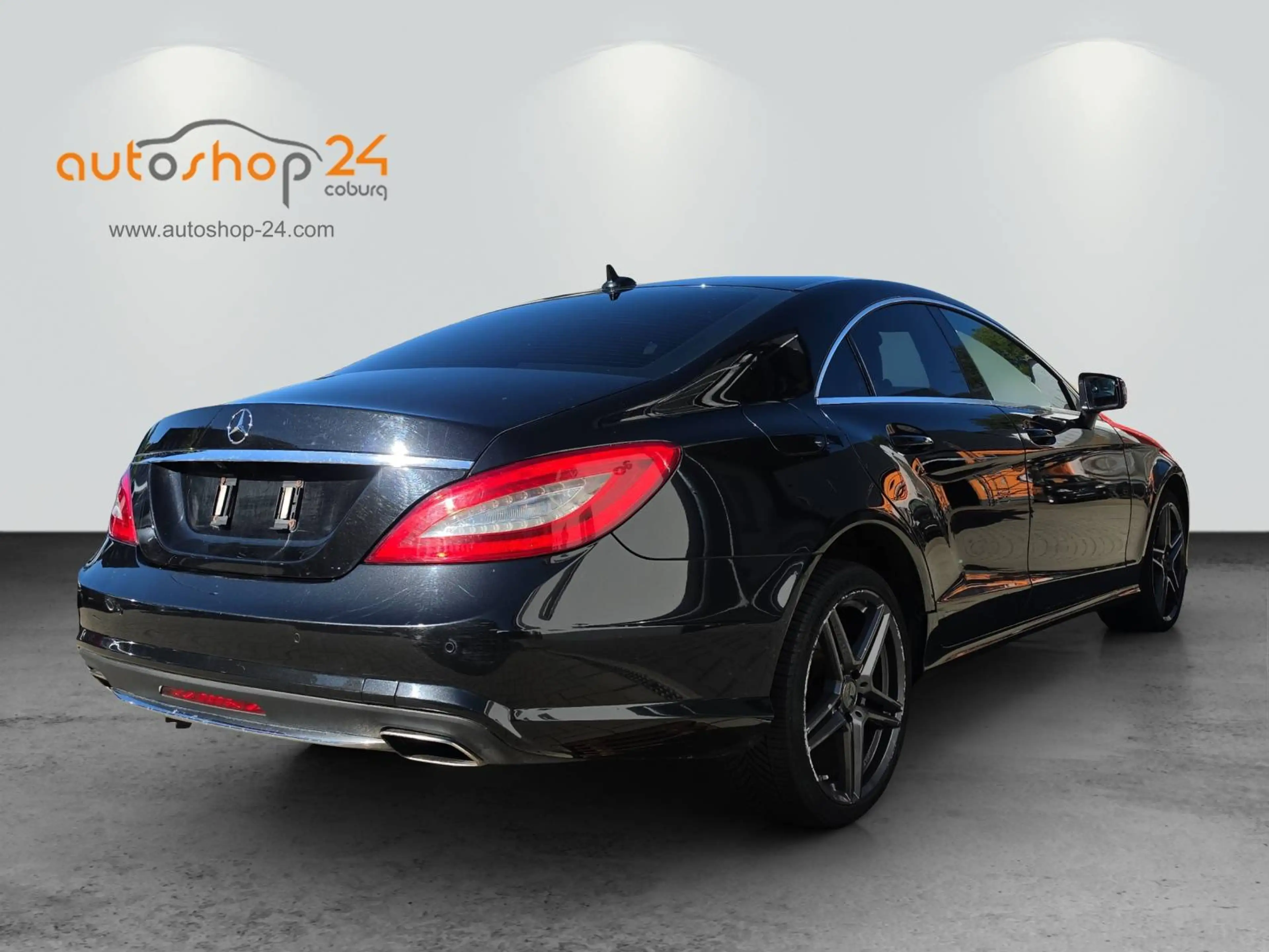 Mercedes-Benz CLS 350 CLS 350 CDI BlueEfficiency 4Matic (218.393) — photo 3