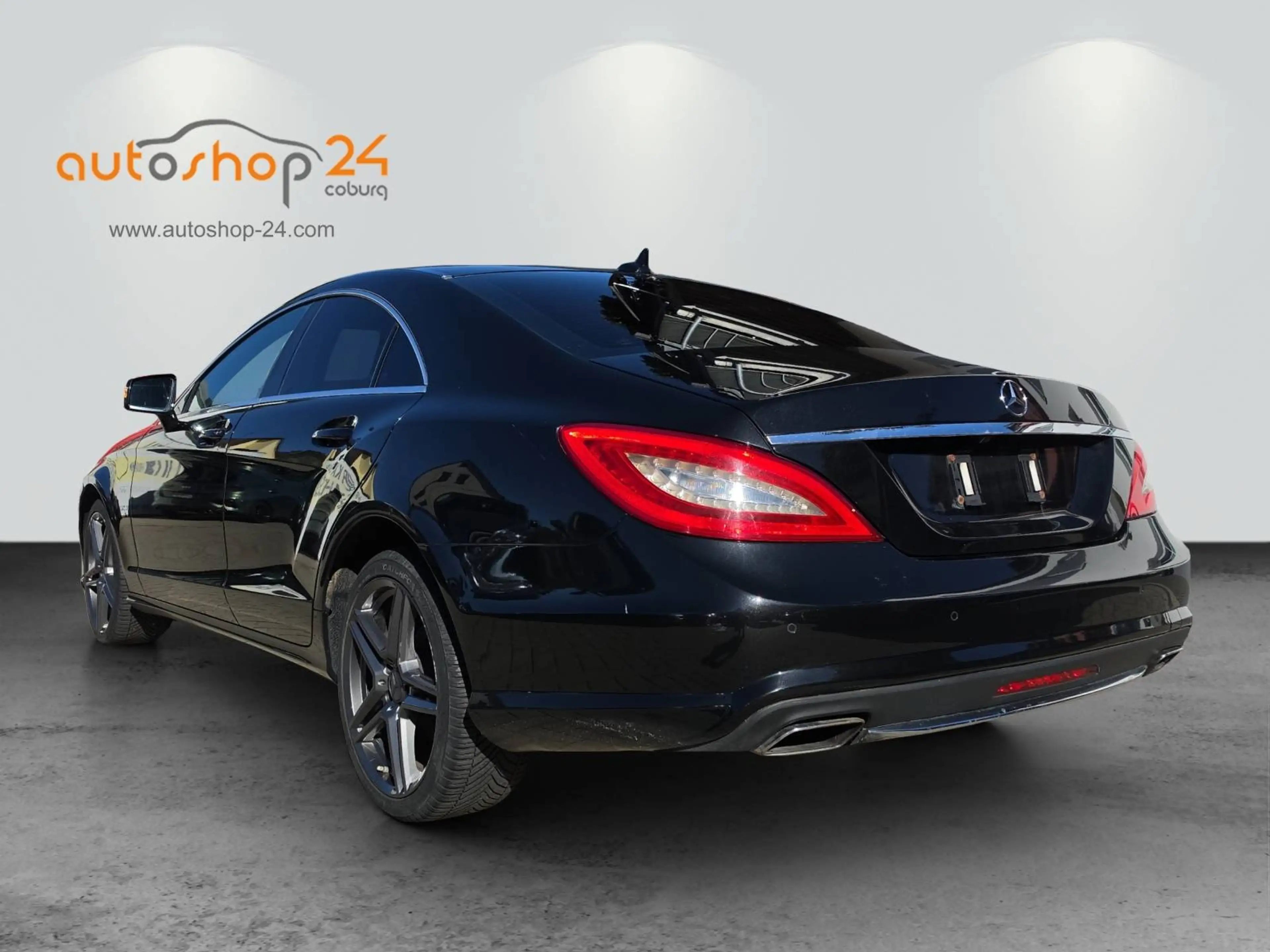 Mercedes-Benz CLS 350 CLS 350 CDI BlueEfficiency 4Matic (218.393) — photo 5