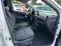 Kia Picanto 1.0 Dream Team+1.HAND+KLIMA+5 TÜRE+EURO 6 KAT. Wit - thumbnail 12