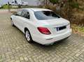 Mercedes-Benz E 220 E 220 d T Avantgarde Aut. Avantgarde Weiß - thumbnail 2