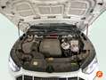 Audi Q5 50 TFSIe Advanced quattro-ultra S tronic Blanco - thumbnail 12
