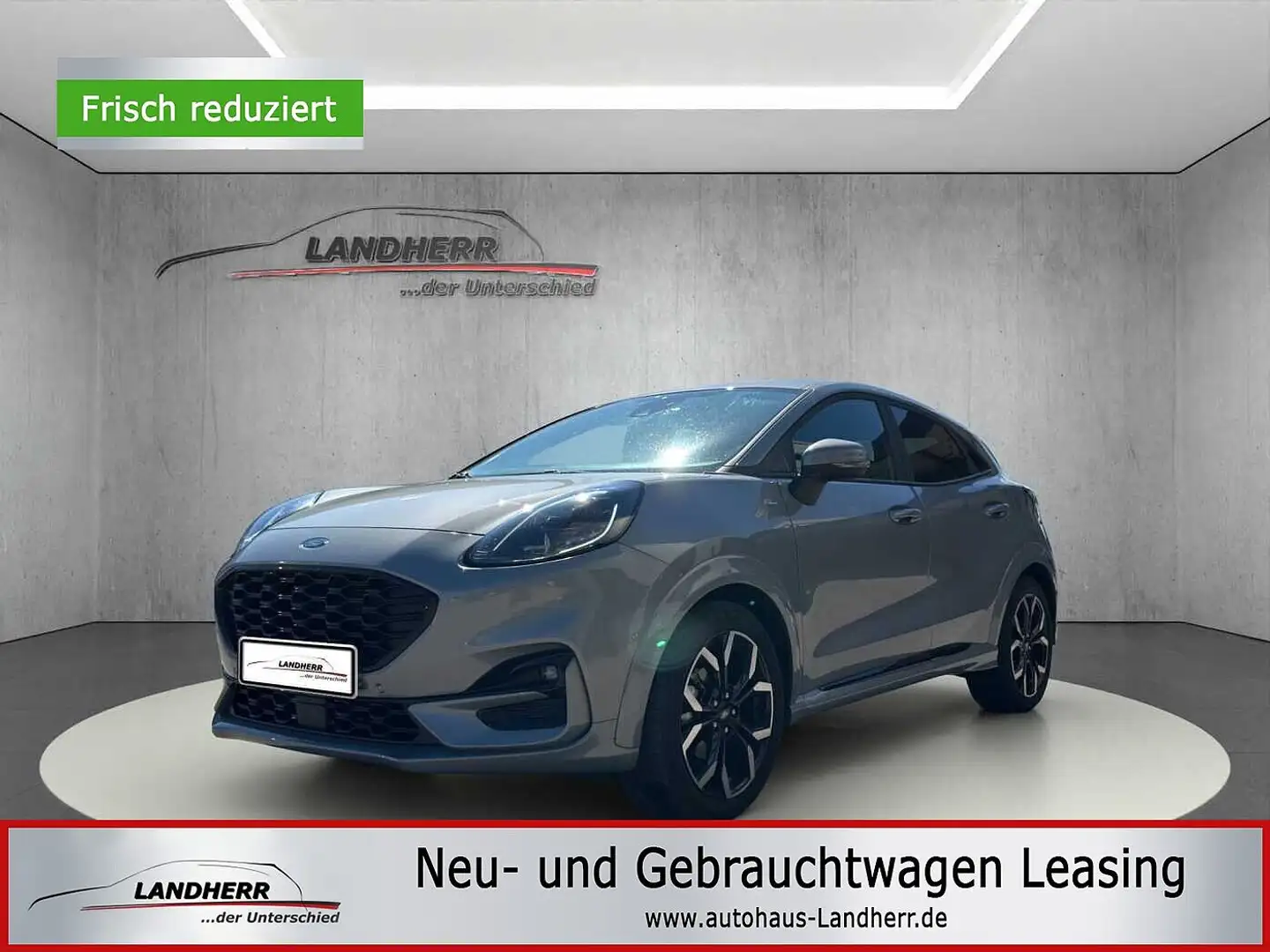 Ford Puma ST-Line X//Rückfahrkamera/Navi Silber - 1