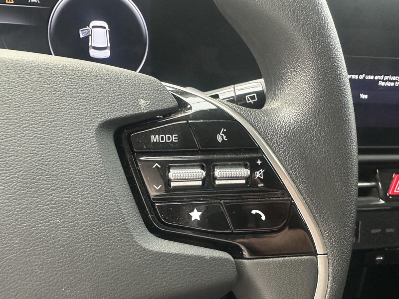 Kia e-Niro EV Light 64.8 kWh — photo 8