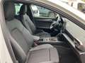 CUPRA Leon SPORTSTOURER 1.5 eTSI DSG - LED+NAVI+AHK+ACC Blanc - thumbnail 25