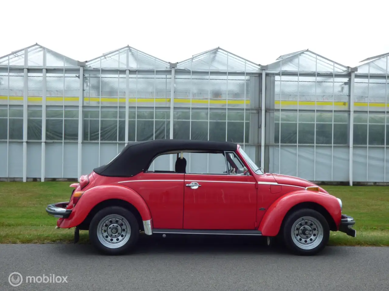 Volkswagen Kever Cabriolet 1303, foto 4