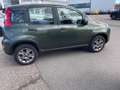 Fiat Panda 1.3 Multijet Start&Stopp 4x4 Grün - thumbnail 5