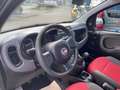 Fiat Panda 1.3 Multijet Start&Stopp 4x4 Grün - thumbnail 8