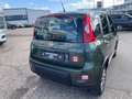 Fiat Panda 1.3 Multijet Start&Stopp 4x4 Grün - thumbnail 7